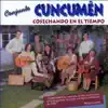 Conjunto Cuncumen - Cosechando en el Tiempo